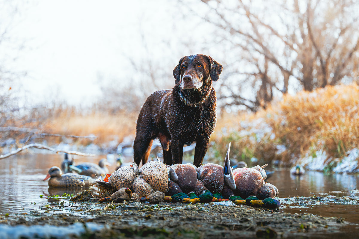 Outdoor and hunting photography by JB Media
