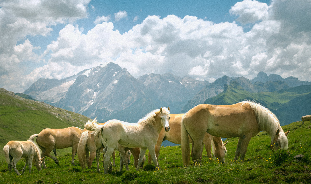 Travel photography by JB Media