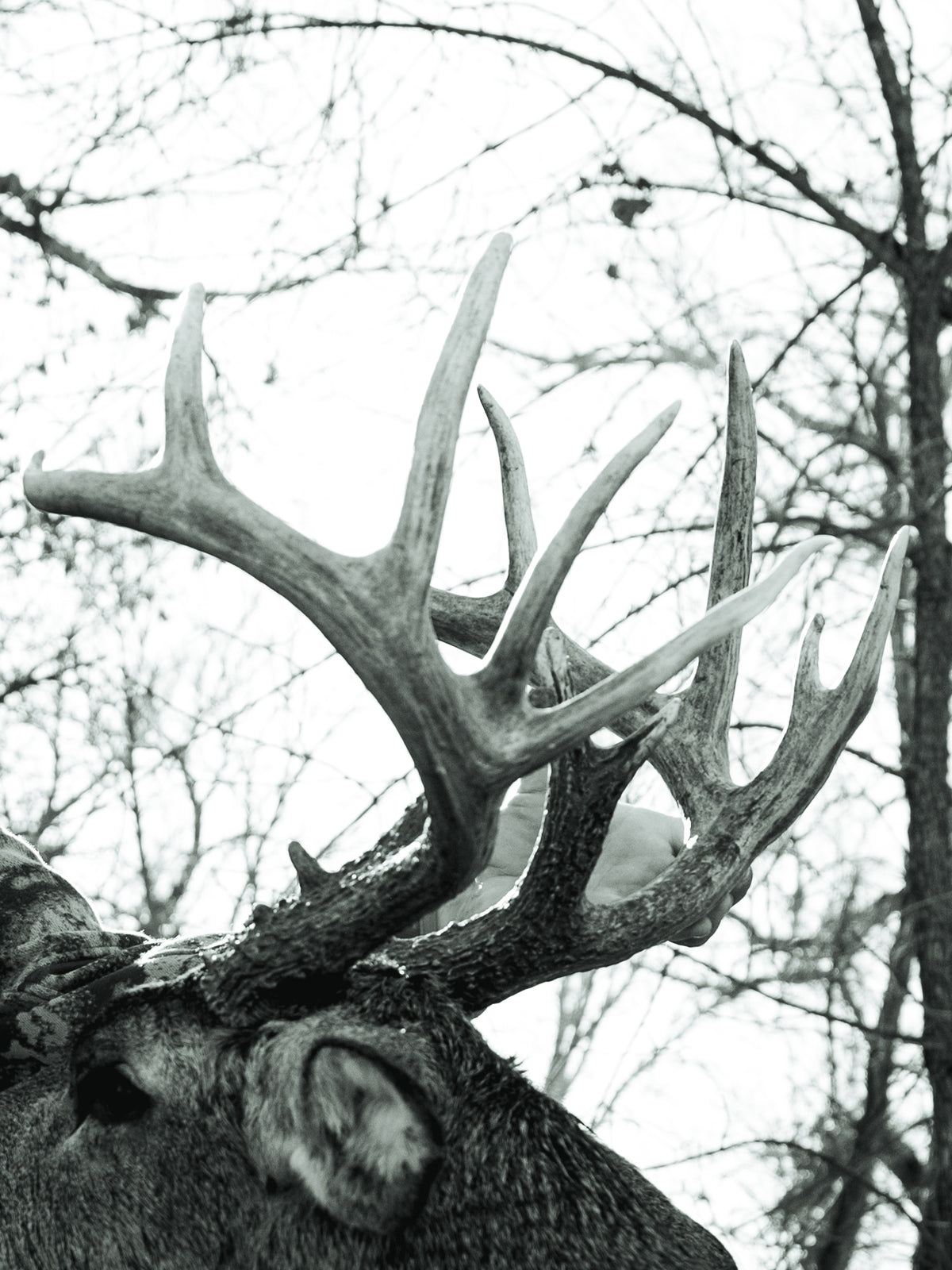 Code of Silence hunting apparel in the field, photographed by JB Media
