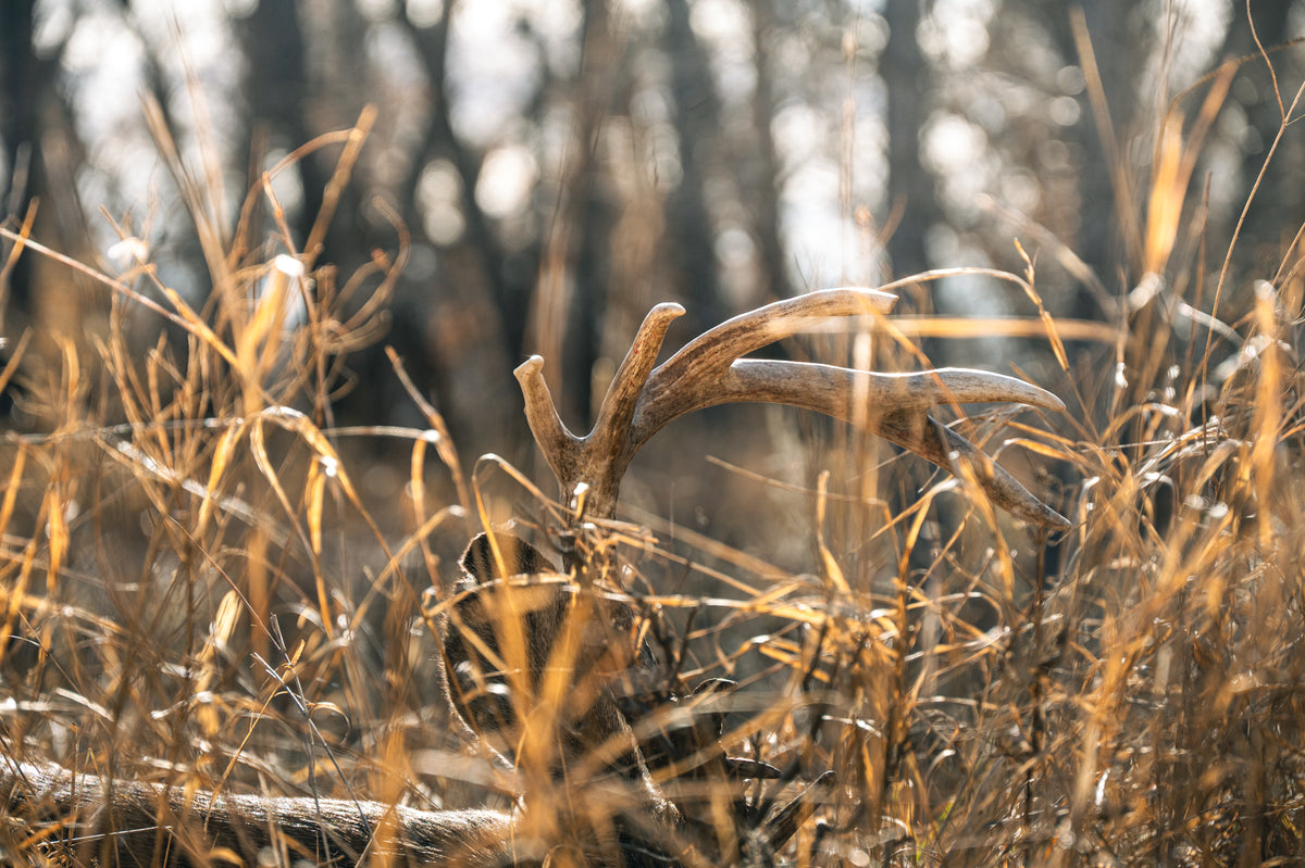 Outdoor photography by JB Media