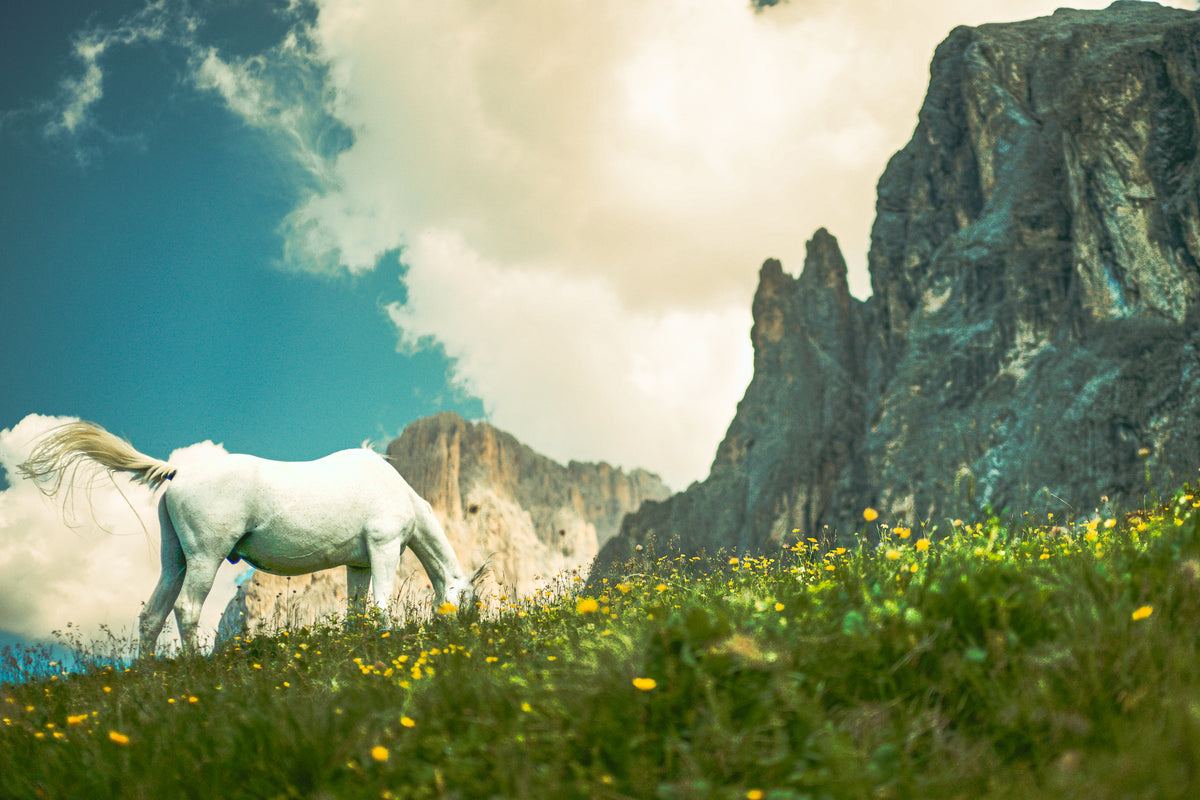 Travel photography by JB Media