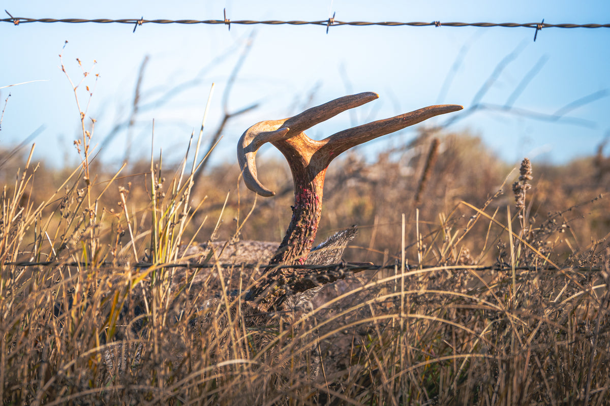 Code of Silence hunting apparel in the field, photographed by JB Media